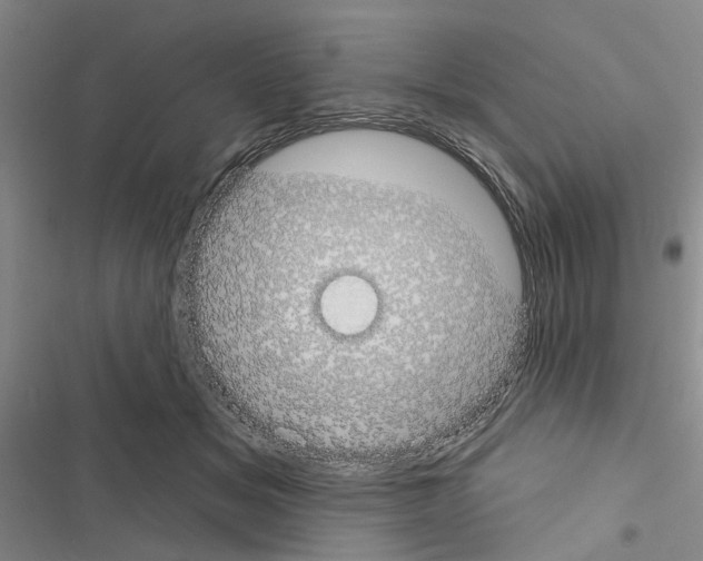 X0000116510509201001201448
