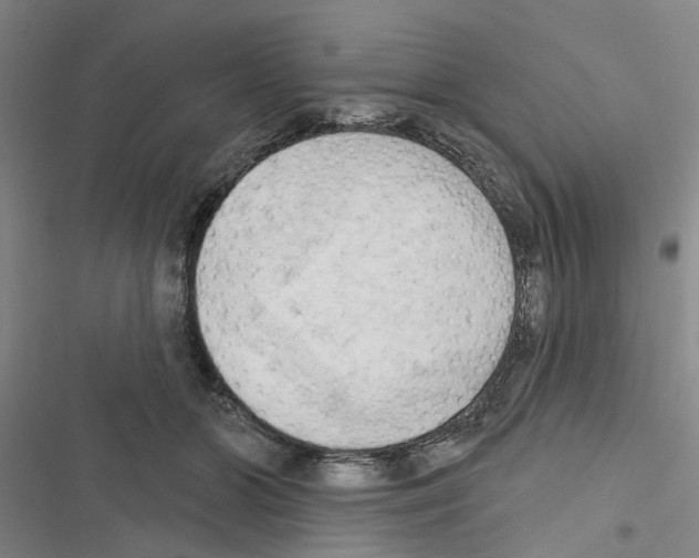 X0000116510510201001201448