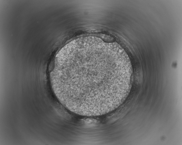 X0000116510512201001201448
