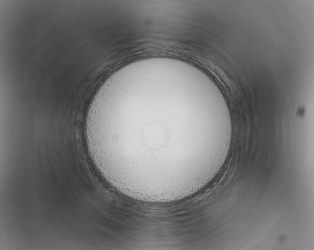 X0000116510513201001201448
