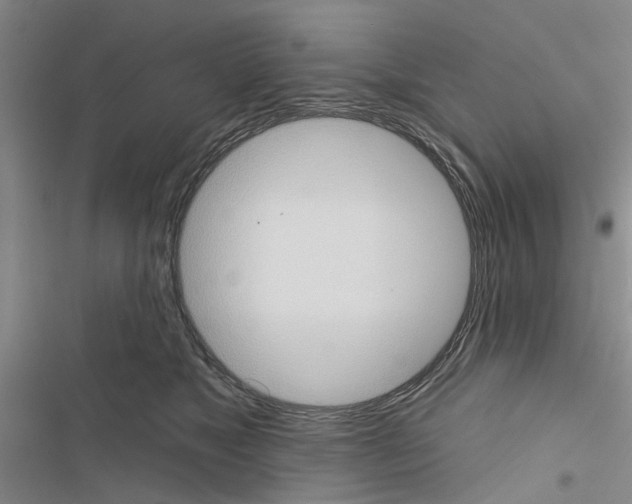 X0000116510517201001201448