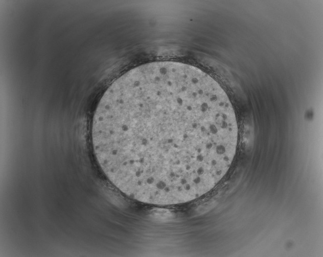 X0000116510519201001201448