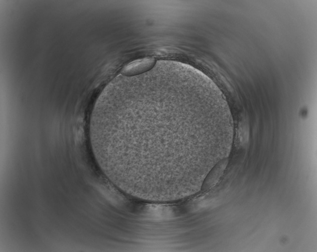 X0000116510520201001201448