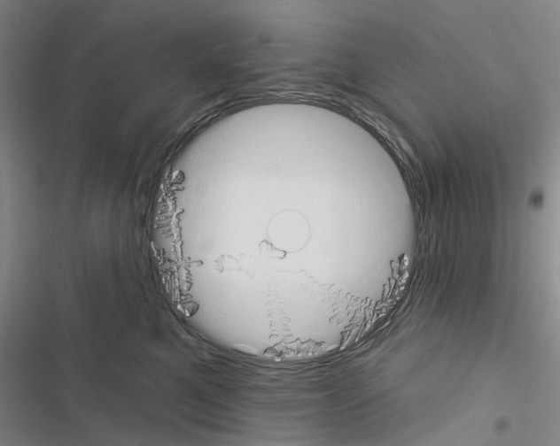 X0000116510521201001201448
