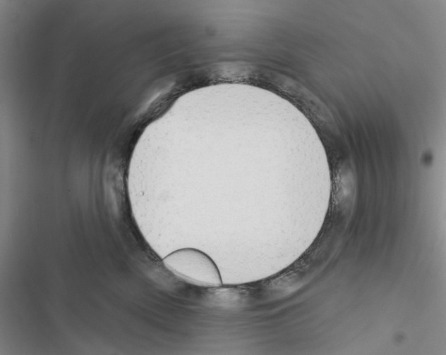 X0000116510522201001201448