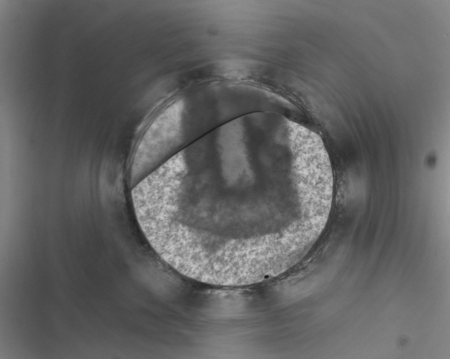 X0000116510524201001201448