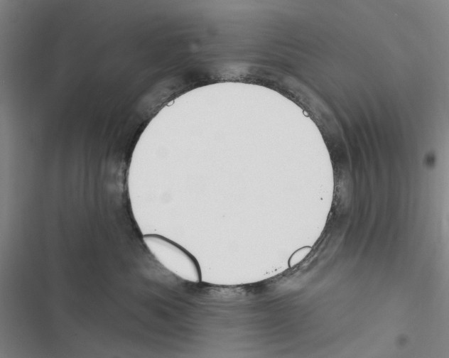 X0000116510525201001201448