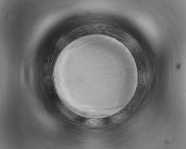 X0000116510526201001201448