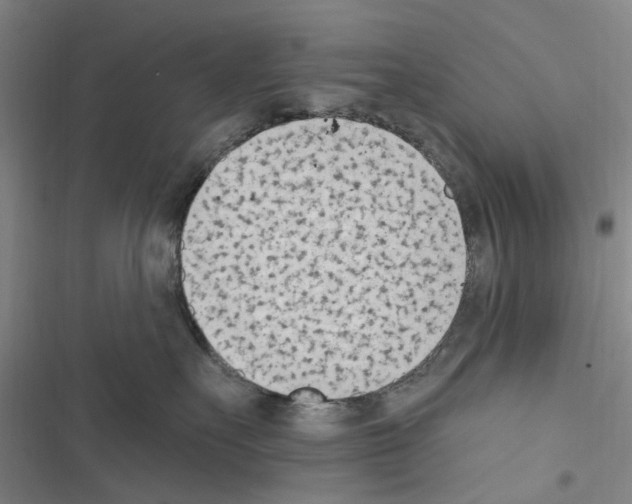 X0000116510527201001201448