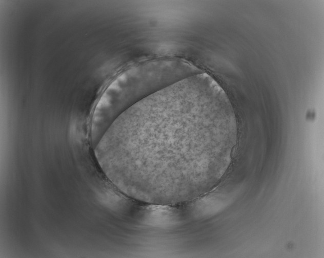 X0000116510528201001201448