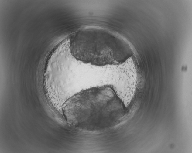 X0000116510529201001201447