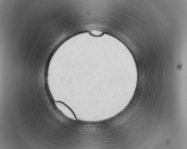 X0000116510530201001201447