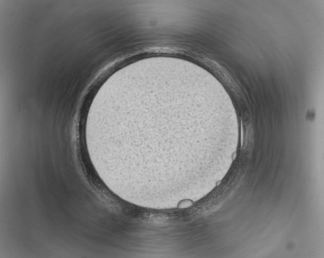 X0000116510531201001201447