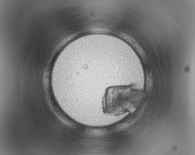 X0000116510533201001201447