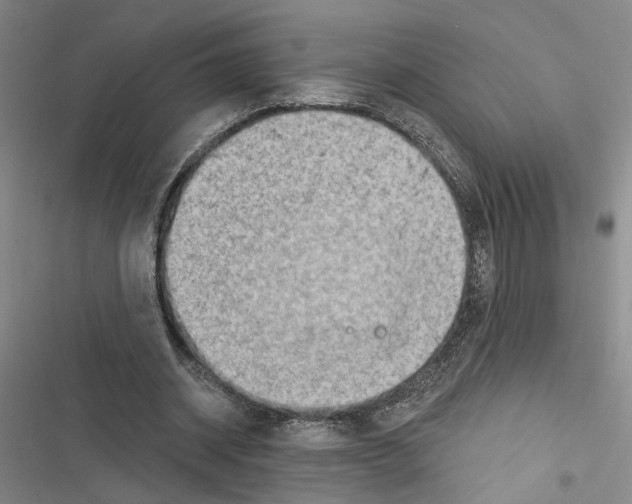 X0000116510534201001201447