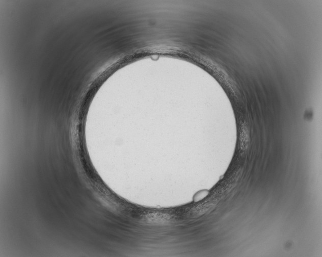 X0000116510535201001201447