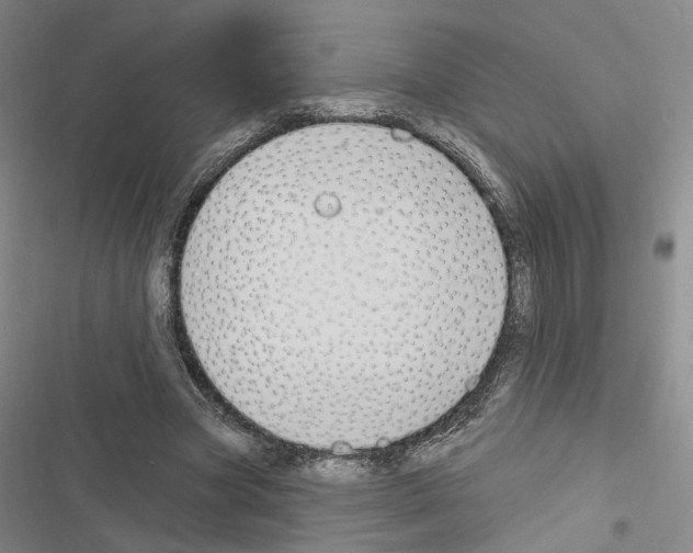 X0000116510537201001201447