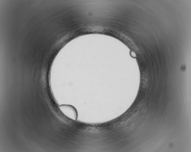 X0000116510538201001201447