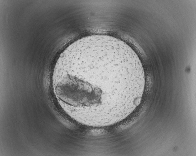 X0000116510541201001201447