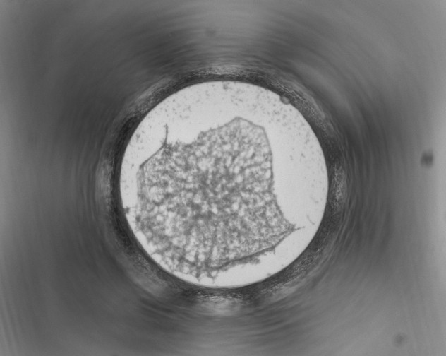 X0000116510542201001201447