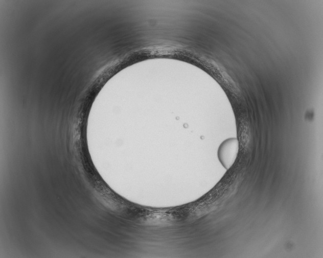 X0000116510543201001201447