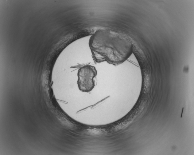 X0000116510545201001201447