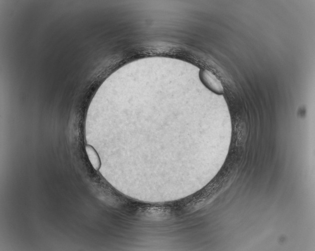 X0000116510546201001201447