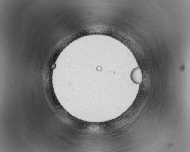 X0000116510547201001201447