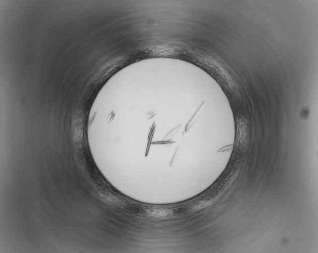X0000116510549201001201447