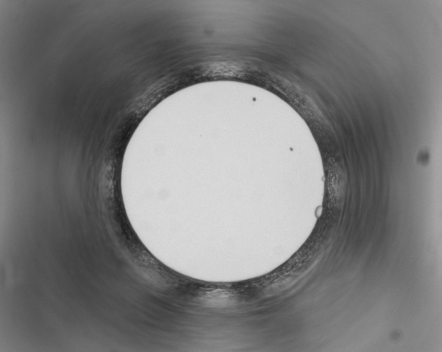 X0000116510551201001201447