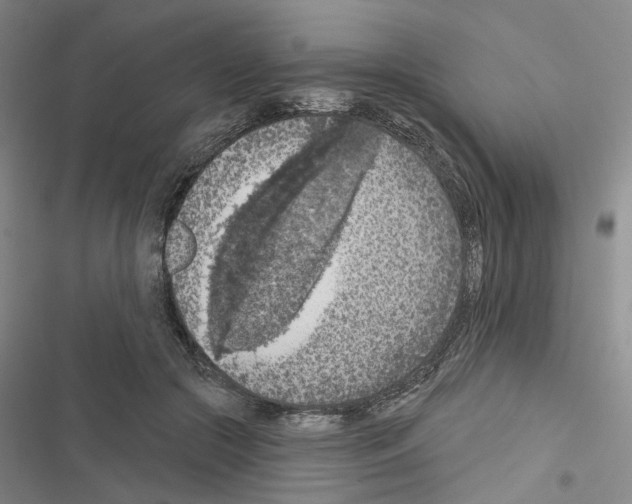 X0000116510553201001201447