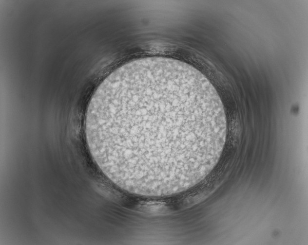 X0000116510554201001201447