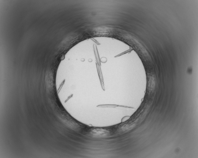 X0000116510557201001201447