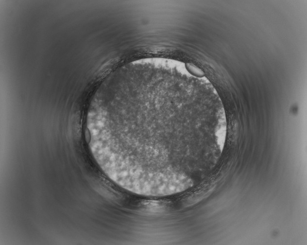 X0000116510558201001201447
