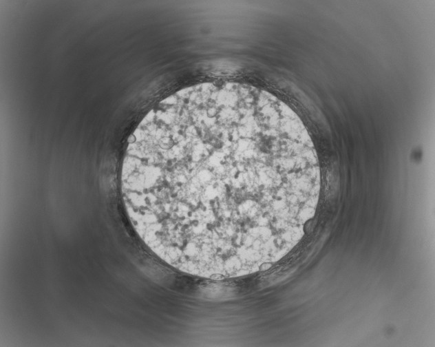 X0000116510561201001201447
