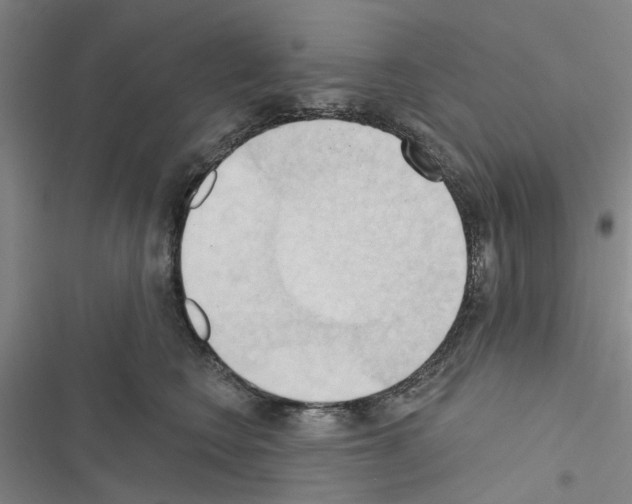 X0000116510566201001201447