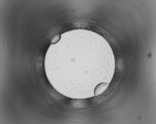 X0000116510567201001201447