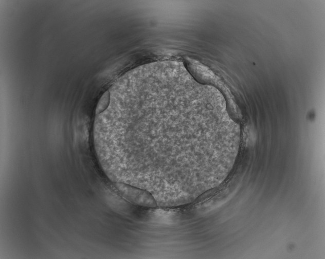 X0000116510570201001201447