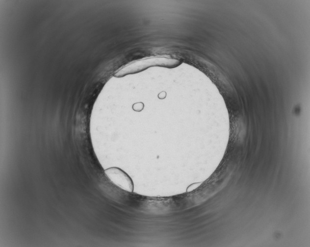 X0000116510571201001201447