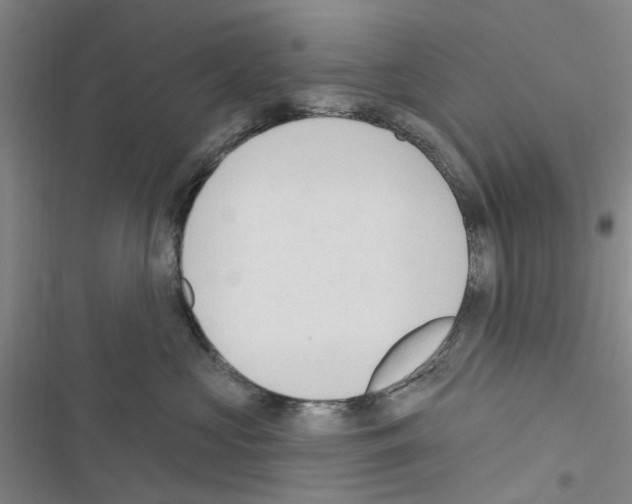 X0000116510573201001201447