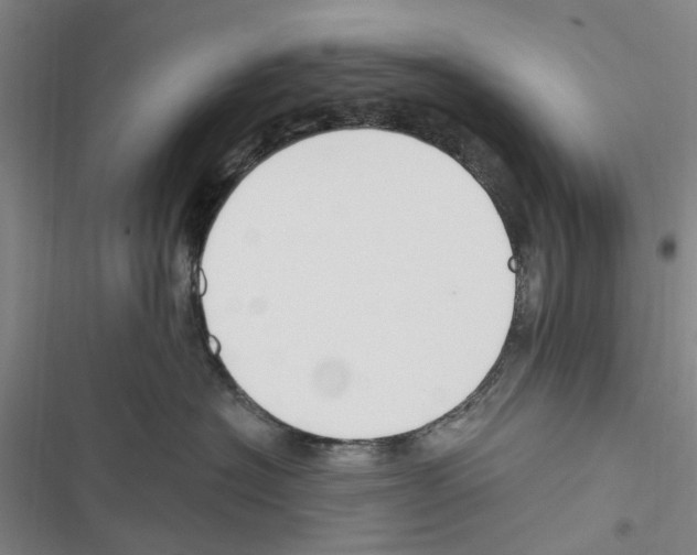 X0000116510574201001201447
