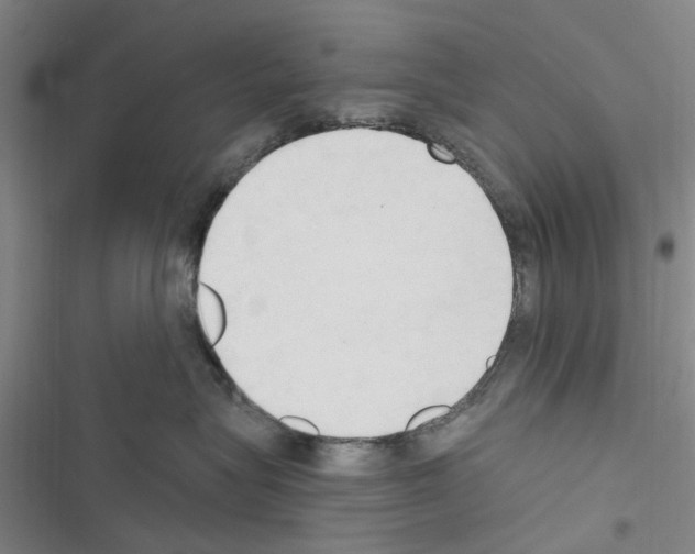 X0000116510575201001201447