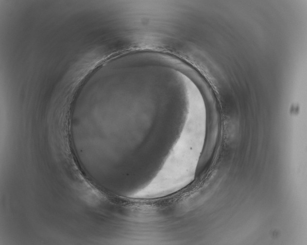 X0000116510577201001201447