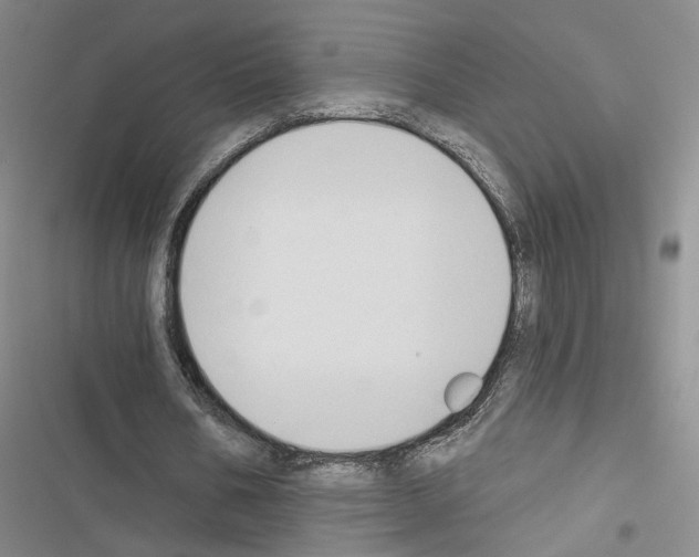 X0000116510578201001201447