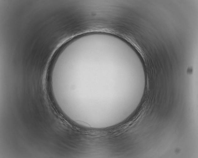 X0000116510579201001201447
