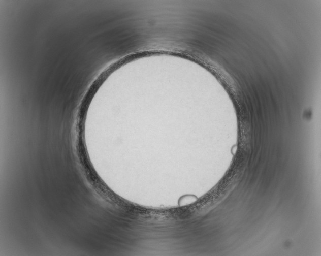 X0000116510580201001201447