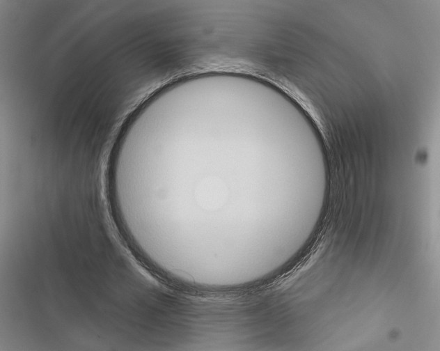 X0000116510581201001201447