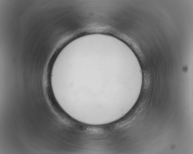 X0000116510582201001201447