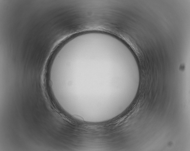 X0000116510583201001201447