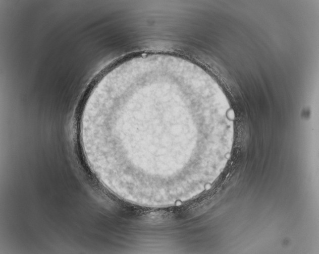 X0000116510584201001201447